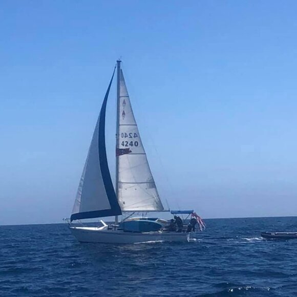 Meet your Posher, Damon - Picture 1 of 1